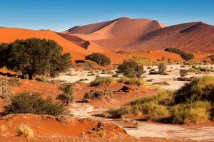 Abenteuer Gruppenreisen Namibia