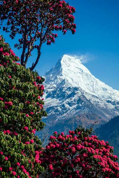 Auslandskrankenversicherung für Nepal - Kosten