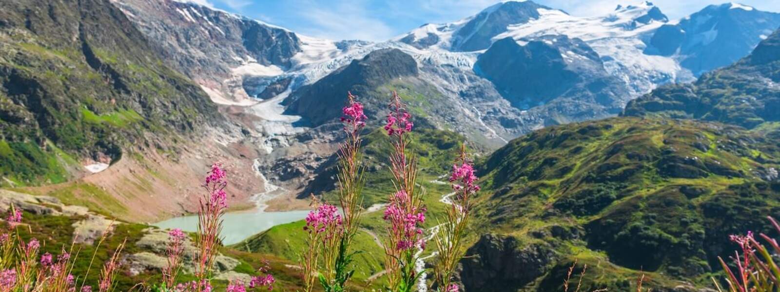 Die höchsten Berge der Alpen: Die Top 10