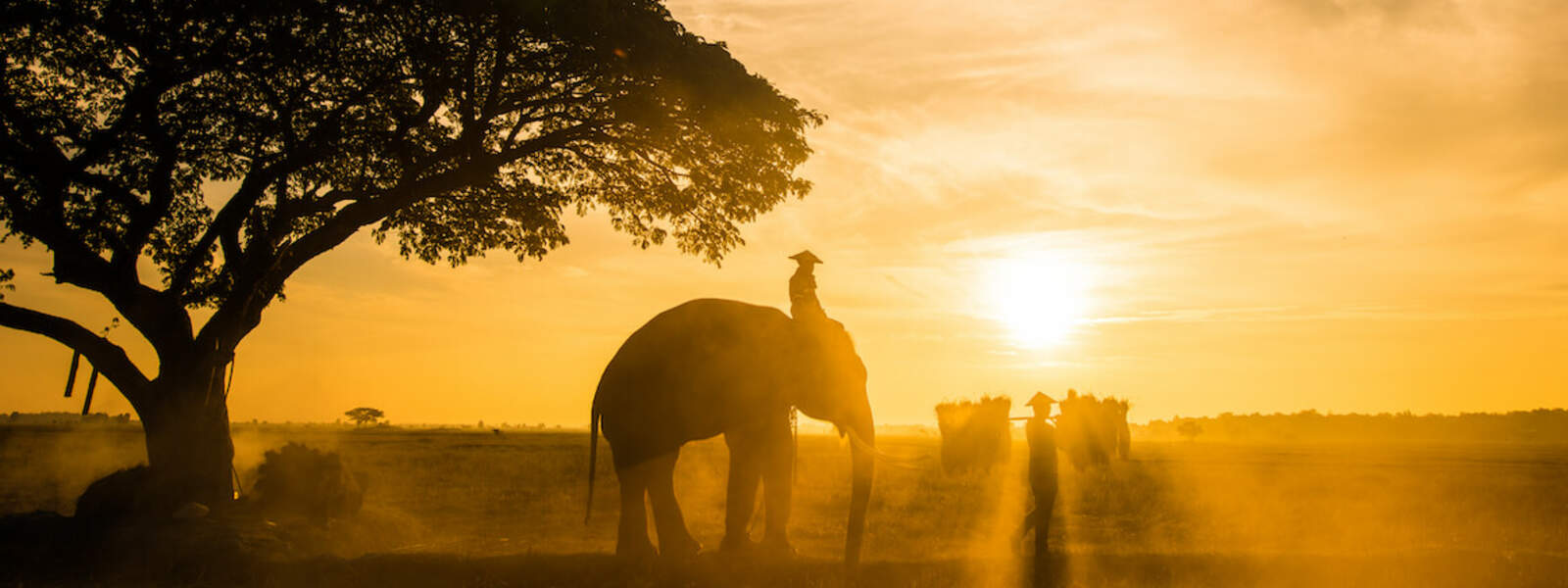 4 Gründe warum du jetzt schnell nach Thailand reisen solltest