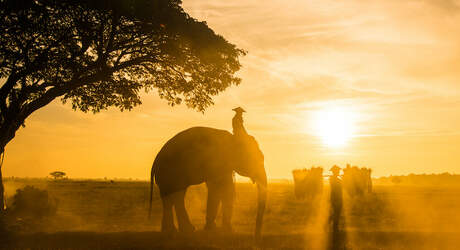 4 Gründe warum du jetzt schnell nach Thailand reisen solltest