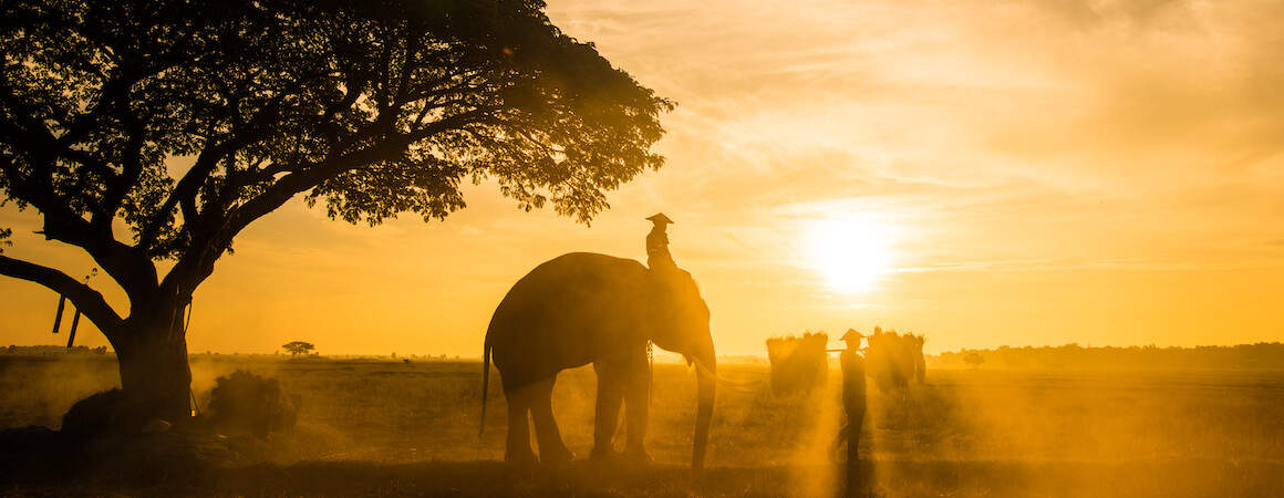 4 Gründe warum du jetzt schnell nach Thailand reisen solltest