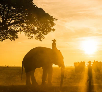 4 Gründe warum du jetzt schnell nach Thailand reisen solltest 4 Gründe warum du jetzt schnell nach Thailand reisen solltest