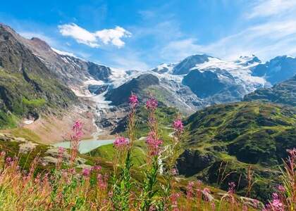 Die höchsten Berge der Alpen: Die Top 10