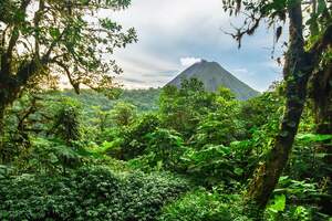 Fernreise nach Costa Rica