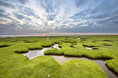 Ostfriesland Ostfriesland