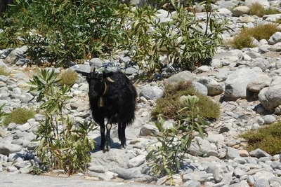 Sehenswürdigkeiten auf Kreta Samaria-Schlucht Sehenswürdigkeiten auf Kreta Samaria-Schlucht