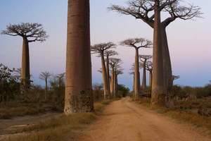 Abenteuer Gruppenreisen Madagaskar