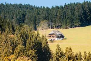 Märchenwelt - Schwarzwald