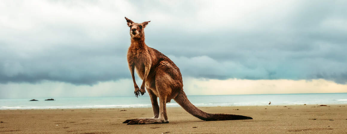 Reise nach Australien - Auslandskrankenversicherung