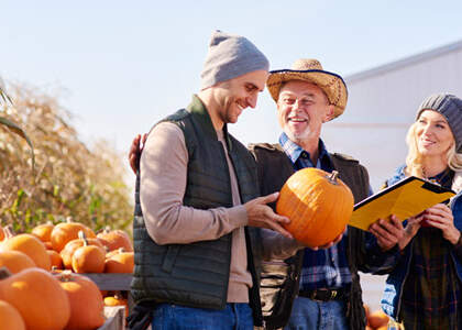 Work and Travel auf Farm