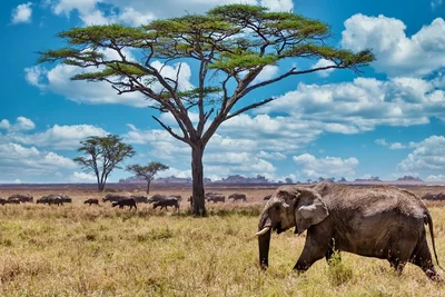 Wie lange dauert es, ein Visum für Südafrika zu bekommen? Wie lange dauert es, ein Visum für Südafrika zu bekommen?