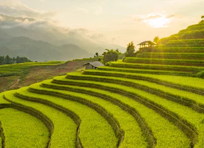 Reise nach Vietnam - Reisterrassen Reise nach Vietnam - Reisterrassen
