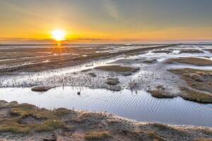 Sehenswürdigkeiten in Dänemark - Wattenmeer