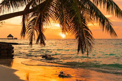 5 Gründe für einen Urlaub auf den Malediven 5 Gründe für einen Urlaub auf den Malediven