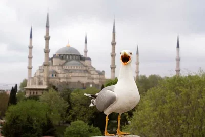Sehenswürdigkeiten in der Türkei - Istanbul Sehenswürdigkeiten in der Türkei - Istanbul