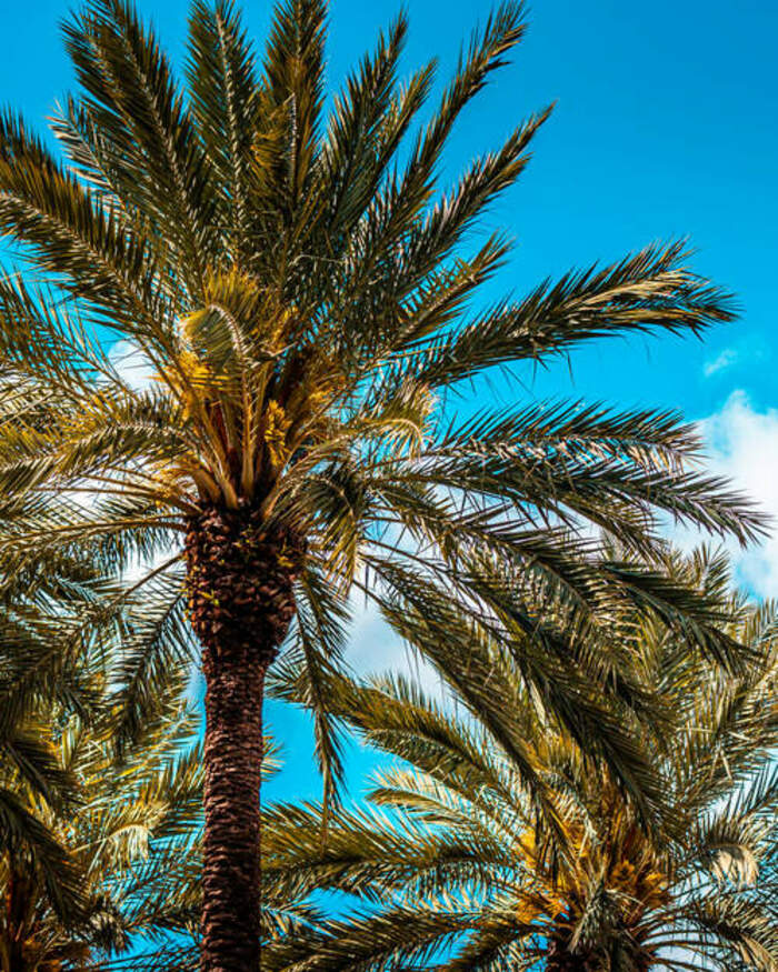 Kompetenz die überzeugt - Bernhard Reiseversicherungsmakler