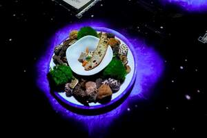 The Magic Table in Bangkok