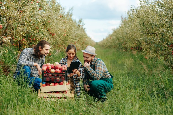 Ist eine Einreise nach Deutschland als Erntehelfer möglich? Ist eine Einreise nach Deutschland als Erntehelfer möglich?