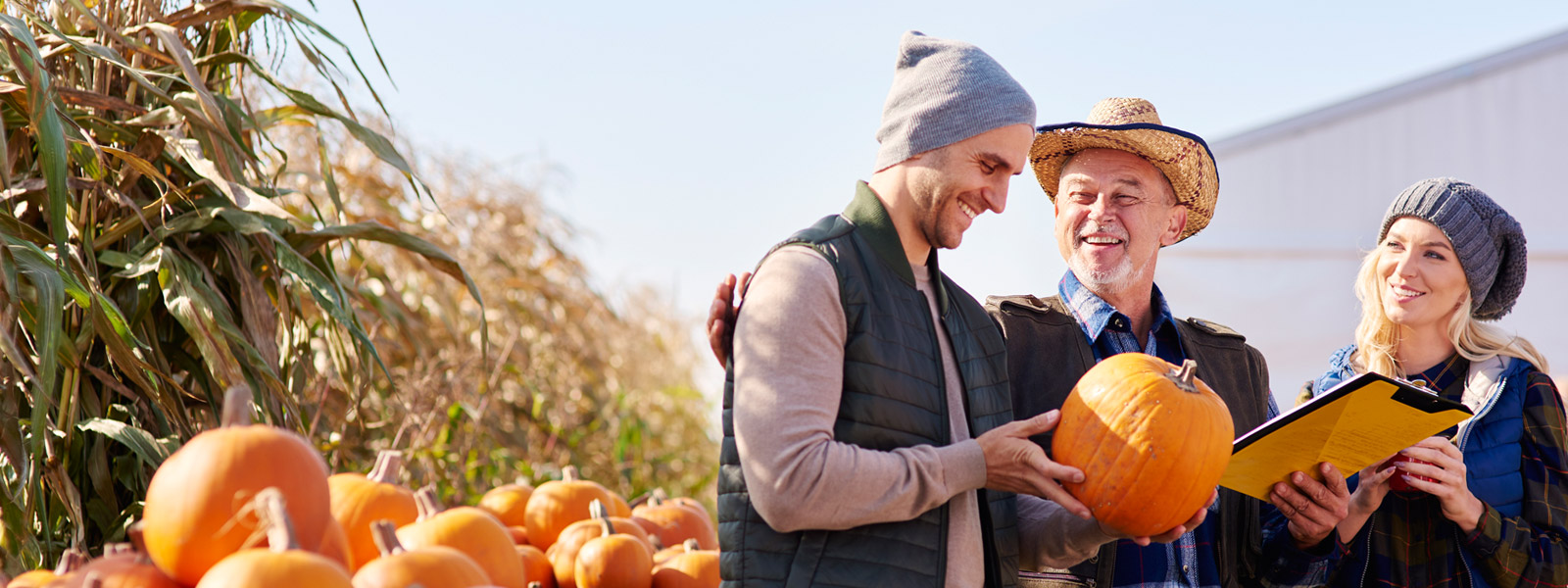 Work and Travel auf Farm